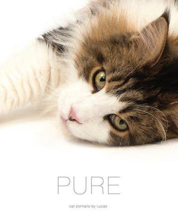 Pure 9789082302400 Lucas De Boeck, Verzenden, Lucas De Boeck