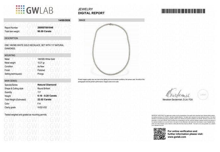 Halsketting - 14 karaat Witgoud - 22.02ct. tw. Diamant, Handtassen en Accessoires, Kettingen