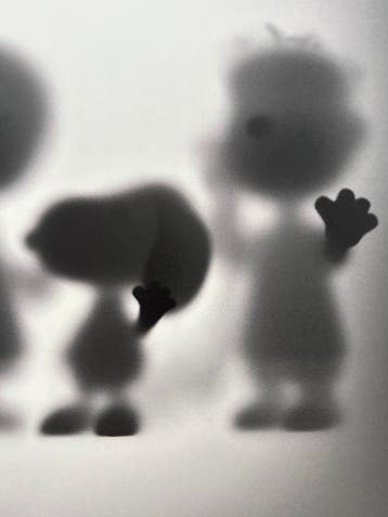 Whatshisname (1982) - Peanuts Family Gone