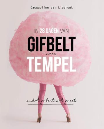 In 28 dagen van gifbelt naar tempel 9789082500707, Verzenden, Zo goed als nieuw, Jacqueline van Lieshout