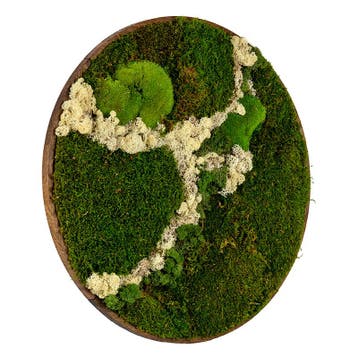 Mosschilderij Rond 80 cm Donker Eiken - Svendborg Latte, Verzenden, Nieuw
