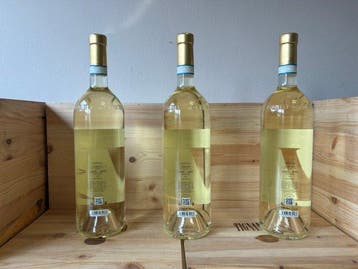 2025 Ceretto Langhe Arneis Magnum - Langhe - 3 Magnums