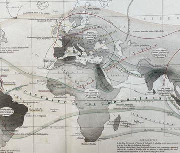 REPTILES- Zoological Geography - Wereldgrafiek; Keith