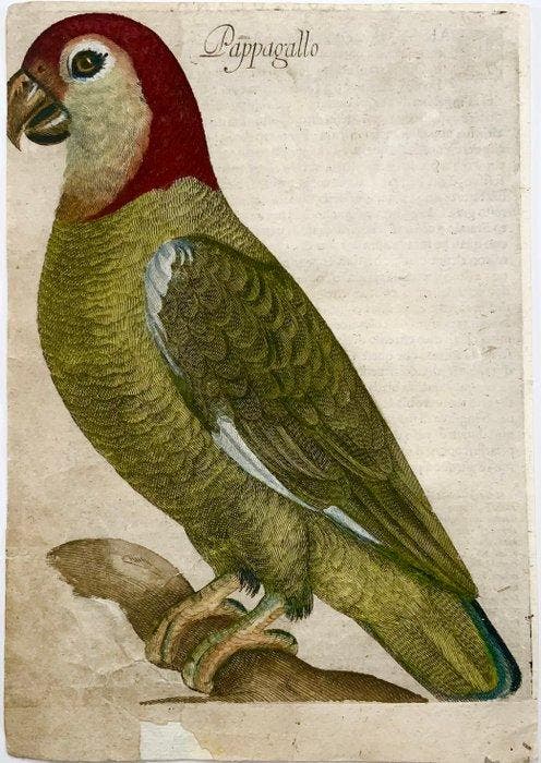 Antonio Tempesta (1555-1630); Fr. Villamena (d.1624) Birds:, Antiek en Kunst, Antiek | Boeken en Manuscripten