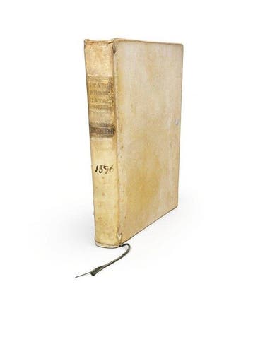 STAPLETON, Thomas - Promptuarii Catholici super Evangelia de, Antiek en Kunst