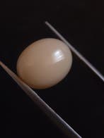 Natural White crystal Opal of 4.665 ct in oval cabochon - un, Verzenden