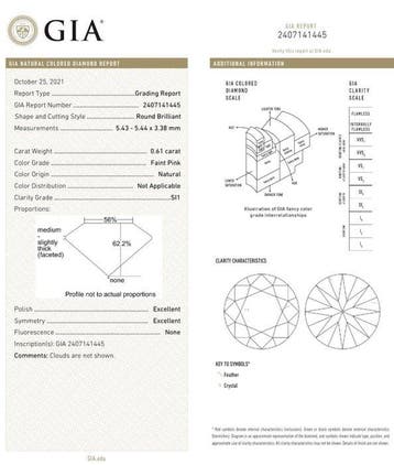 1 pcs Diamant (Natuurlijk gekleurd) - 0.61 ct - Rond - Faint, Nieuw