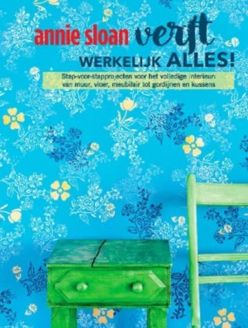 Annie Sloan verft werkelijk alles! 9789043919357 Annie Sloan, Verzenden, Gelezen, Annie Sloan