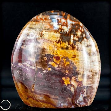 Natuurlijke vrije vorm van versteend hout- 915.48 g