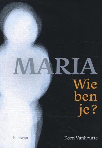 Maria, wie ben je? 9789085286073 Koen Vanhoutte, Verzenden, Gelezen, Koen Vanhoutte