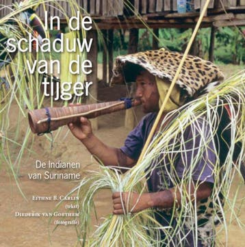 In de schaduw van de tijger 9789460220258, Verzenden, Gelezen, Diederik van Goethem