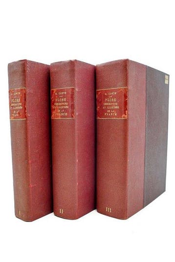 Labbé H. Coste - Flore descriptive et illustrée de la