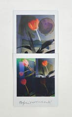 Maurizio Galimberti (1956–) - BiFlowers - 11556, Antiquités & Art, Art | Objets design