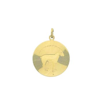 Gouden sterrenbeeld hanger; Steenbok (Hanger of bedel), Ophalen of Verzenden, Gebruikt, Goud, Overige merken