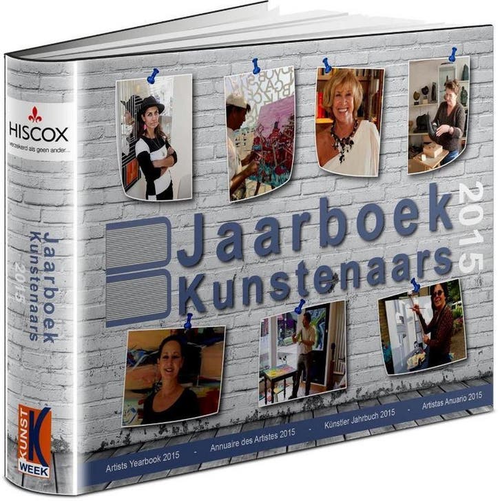 Jaarboek kunstenaars 2015 9789491244087, Boeken, Kunst en Cultuur | Beeldend, Gelezen, Verzenden