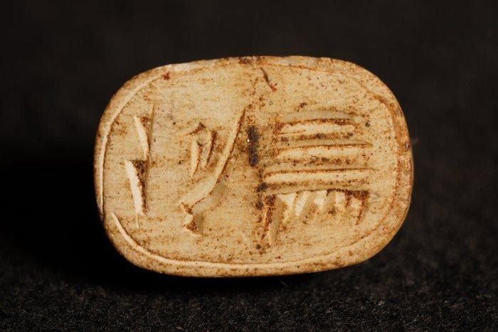 Oude Egypte, late periode Speksteen scarabee-sieraad, 3 cm -, Collections, Minéraux & Fossiles