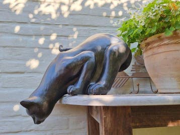 Beeldje - Curious cat - Hars, Antiek en Kunst