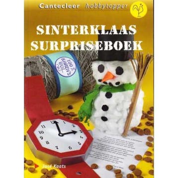 Sinterklaas surpriseboek / Cantecleer hobbytopper J. Kaats, Verzenden, Gelezen, J. Kaats
