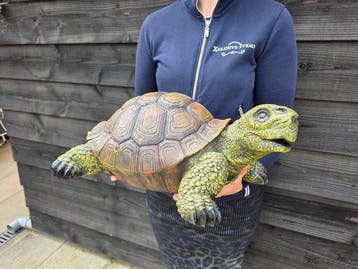 Beeld, XL Turtle 40cm - 17 cm - Hars