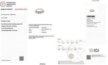 Bague - 18 carats Or rose, Or blanc - 5.02ct. tw. Diamant, Nieuw