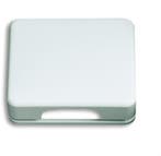 ABB Busch-Jaeger Cover Plate 50x50 CPL KD 1746-24G-101, Verzenden