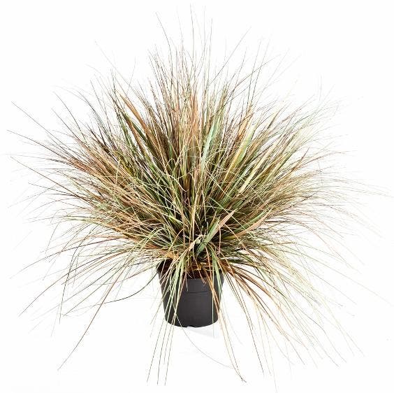Kunstplant Onion Gras Herfst 70 cm, Huis en Inrichting, Kamerplanten, Verzenden