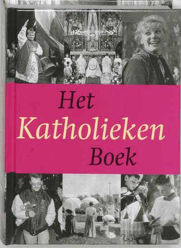 Het katholieken boek / HET ..... BOEK 9789040082061, Verzenden, H. Pijfers
