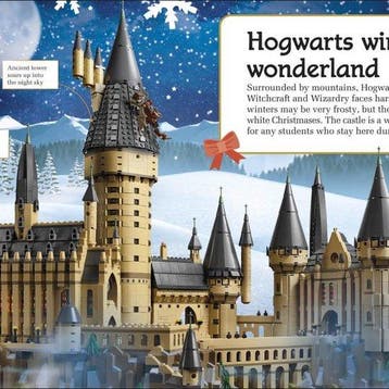 LEGO Harry Potter Hogwarts at Christmas 9780241469392 Dk, Verzenden, Dk