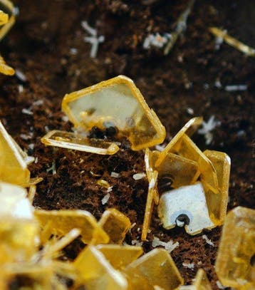 Esthetische kristallen van gele wulfeniet met witte