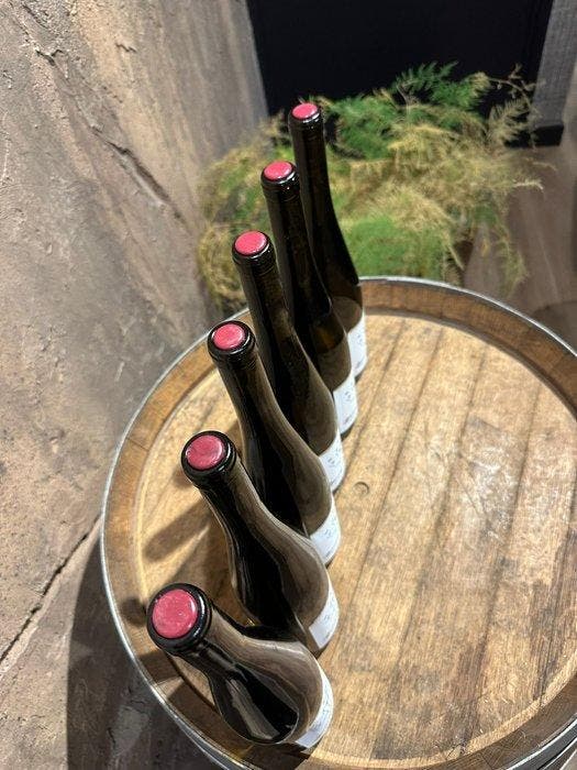2021 Laura Weber Bienengärtchen - Nahe - 6 Flessen (0.75, Collections, Vins