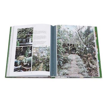 Grandiflora 9783961710102 Claire Bingham, Livres, Verzenden, Claire Bingham