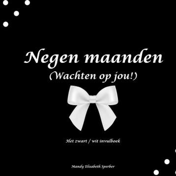 Negen Maanden | Mandy Elisabeth Sperber | Nieuw, Verzenden, Nieuw, Mandy Elisabeth Sperber