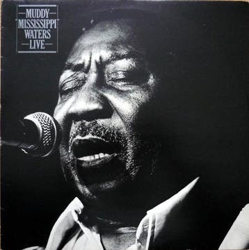 Muddy Waters - Muddy Mississippi Waters Live, Verzenden, Gebruikt