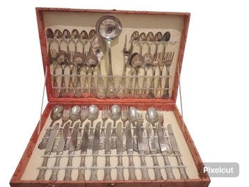 Bestekset voor 12 personen (50) - zilverachtig metaal . inox, Antiek en Kunst