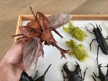 Beeldje - Origami insecten collectie - Papier