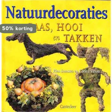 NATUURDECORATIES MET GAAS HOOI TAKKEN 9789021330815, Verzenden, Zo goed als nieuw, P. Lemstra