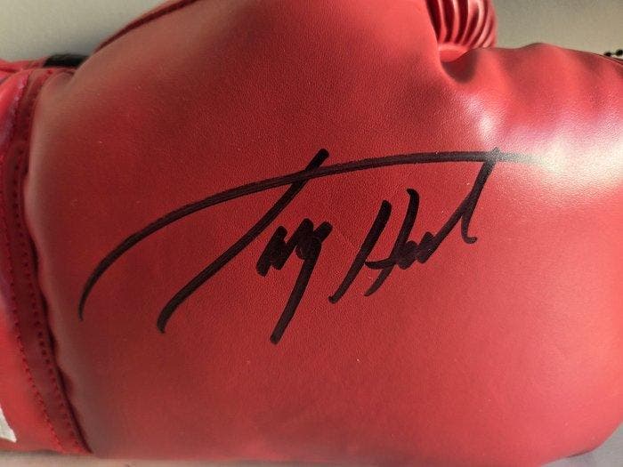 Boksen - Larry Holmes - Bokshandschoen, Verzamelen, Overige Verzamelen