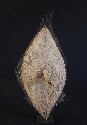 Zeldzame Kakadu Talipoon - Papoea-Nieuw-Guinea (Zonder