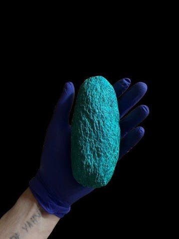 Oviraptor Œuf - Egg REPLICA - 72 mm - 81 mm - 156 mm-