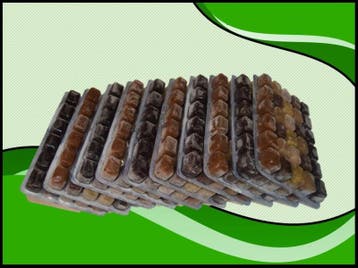 Quintet 10x100 gram diepvriesvoer (Visvoeding), Verzenden, Nieuw