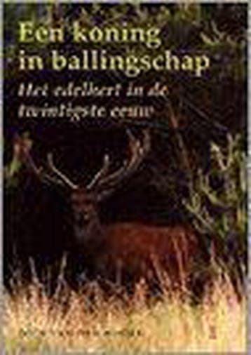 KONING IN BALLINGSCHAP 9789024603558 D. van den Hoorn, Boeken, Verzenden, Gelezen, D. van den Hoorn