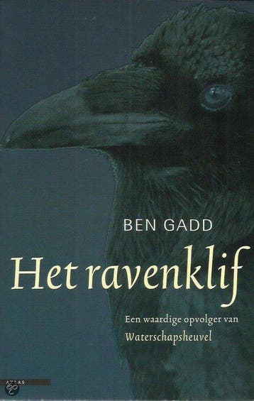 Het Ravenklif 9789045004174 B. Gadd, Verzenden, Gelezen, B. Gadd