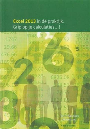 Excel 2013 in de praktijk, grip op je calculaties Agema, Livres, Verzenden, Agema