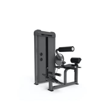 Gymfit - Luxury-line - Back Extension - L201, Ophalen of Verzenden, Nieuw