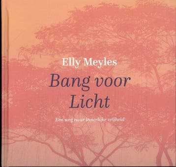 Bang voor licht 9789493288850 Elly Meyles, Verzenden, Elly Meyles