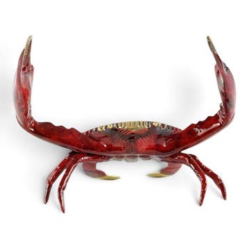 sculptuur, Red Swimmer Crab - 15 cm - Brons