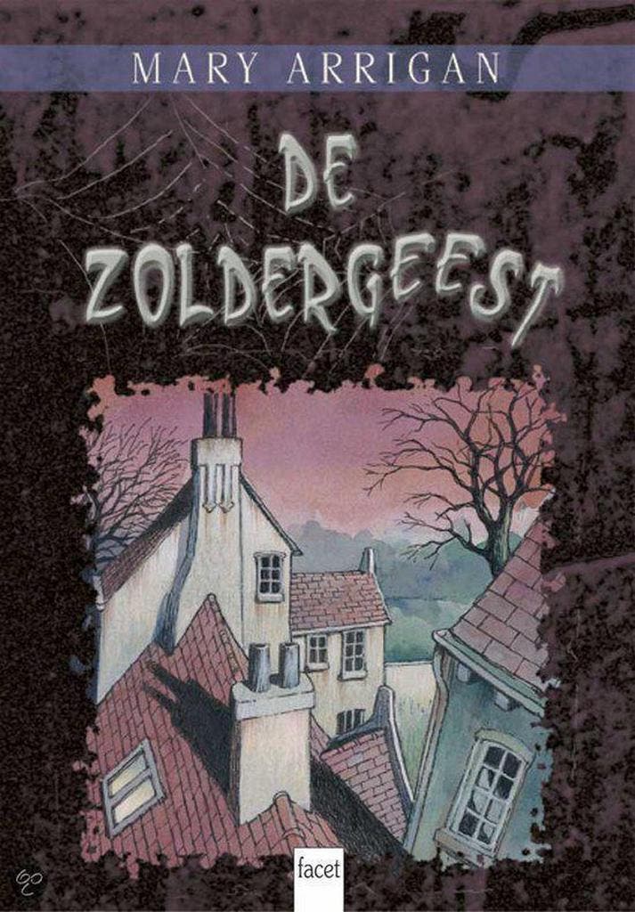 De zoldergeest / Schrikdraad blauw 9789050164122 M. Arrigan, Boeken, Kinderboeken | Jeugd | 10 tot 12 jaar, Gelezen, Verzenden