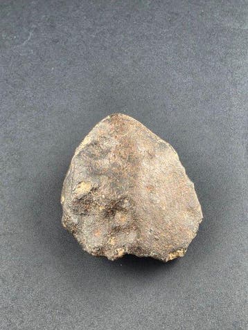 météorite Météorite de Chondrite - Hauteur : 5 cm - 99 g, Collections