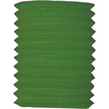 Groene Lampion 16cm, Verzenden, Nieuw