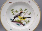 Fürstenberg - Bord - Birds and insects - Porselein, Antiek en Kunst